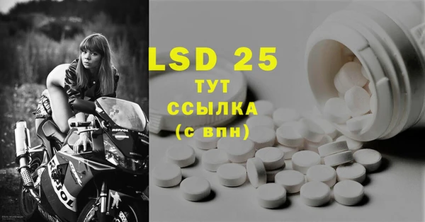 стафф Дмитров
