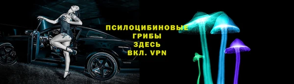 дмт Дмитриев