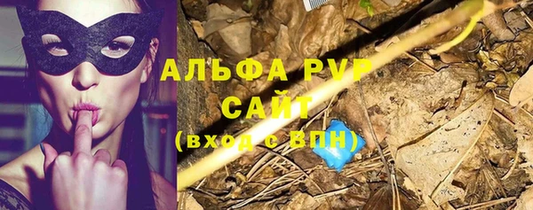дмт Дмитриев