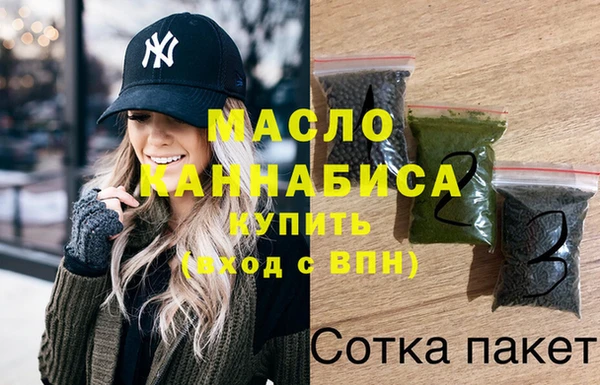 дмт Дмитриев
