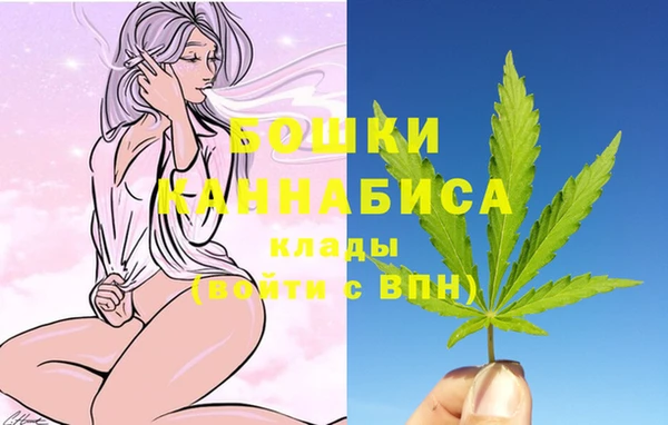 стафф Дмитров
