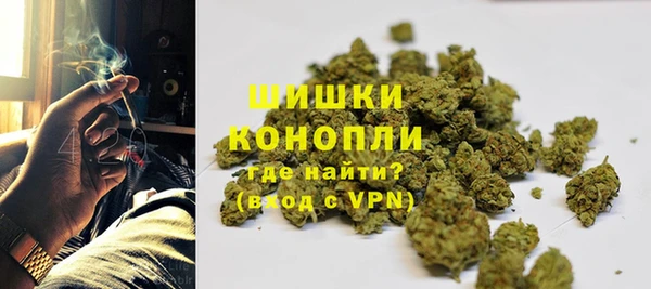 дмт Дмитриев
