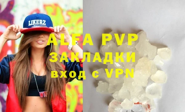 стафф Дмитров
